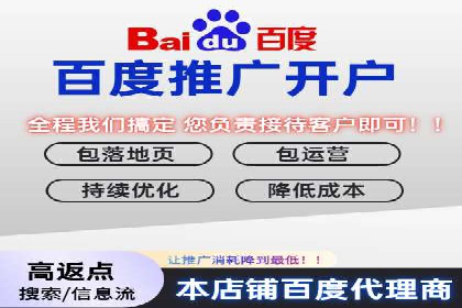百度推广平台案例剖析：揭秘广告投放策略